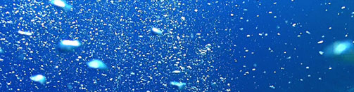 Bubbles in blue water