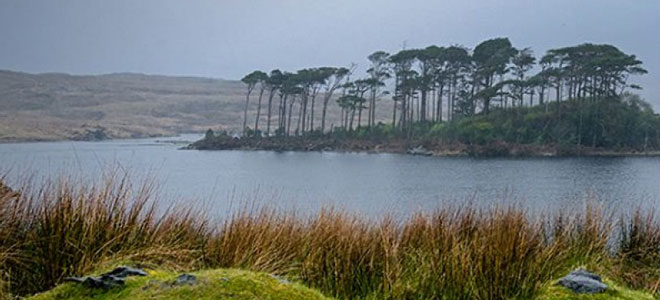 Connemara scene