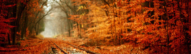 Autumn scene