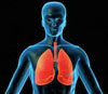 X-ray of head, shoulders and chest, showing lungs