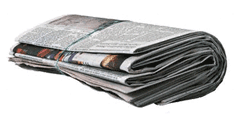 Newspaper